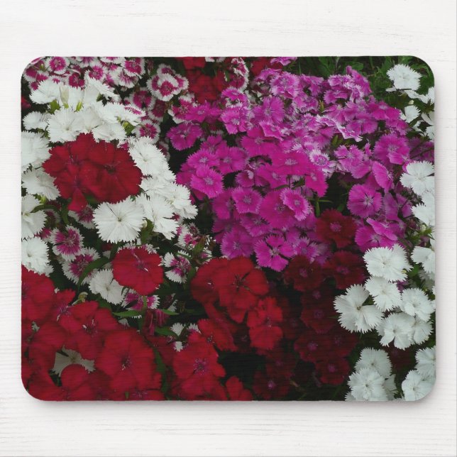 Mousepad Branco, Rosa e Vermelho Dianthus Floral (Frente)