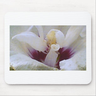 Mousepad Branco sobre White Rose Bloom