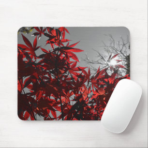 Mousepad Brasas de Outono