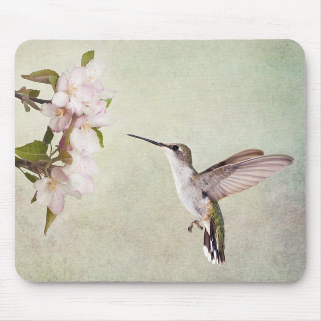 Mousepad Brespassarinho e flores de primavera (Frente)