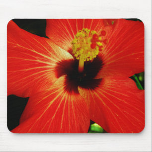 Mousepad Bright Red Orange Hibiscus Flower
