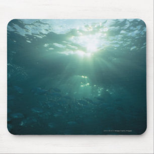 Mousepad Brilho claro no recife de corais e na escola dos