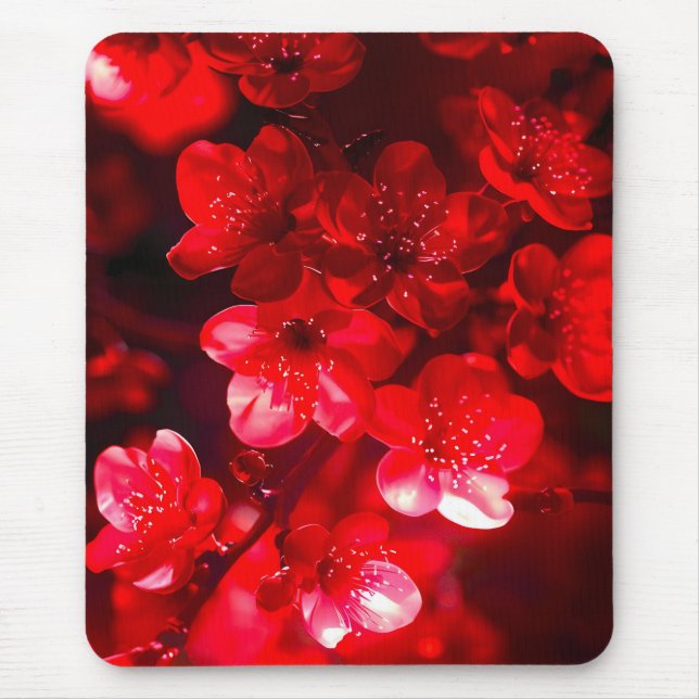 Mousepad Brilho do Flor de Cereja (Frente)