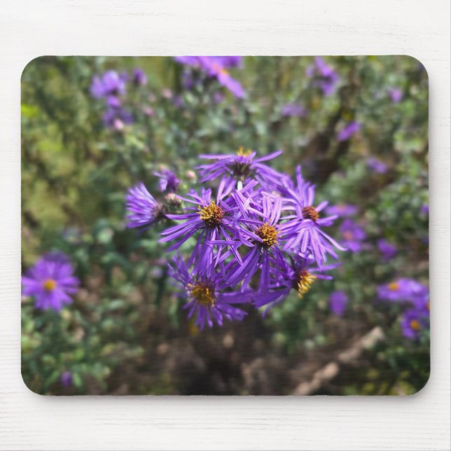 Mousepad Brilho Roxo do Outono (Frente)