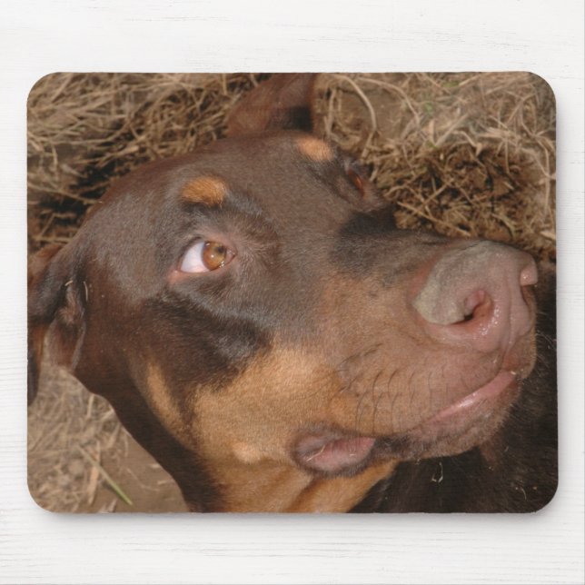 Mousepad Brisbee Lee (Frente)