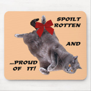 Mousepad britânico azul do gato de Shorthair:
