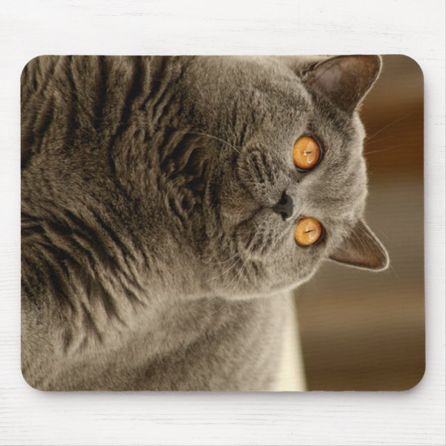 Mousepad british shorthair azul (Frente)