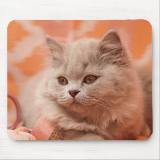 Mousepad British shorthair, British longhair, Lilás