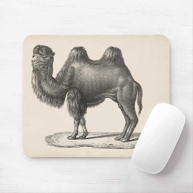 Mousepad Brodtmann Camel Sketch (Com mouse)