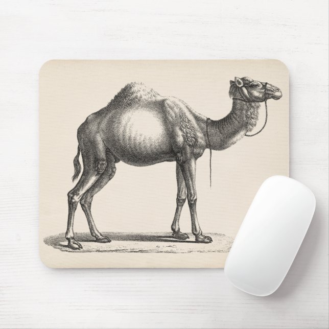 Mousepad Brodtmann Dromedary Camel Sketch (Com mouse)