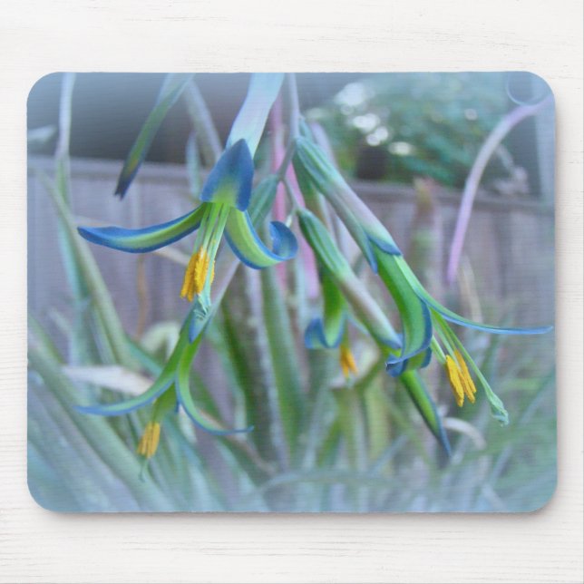 Mousepad Bromeliad Blossoms em Azul (Frente)