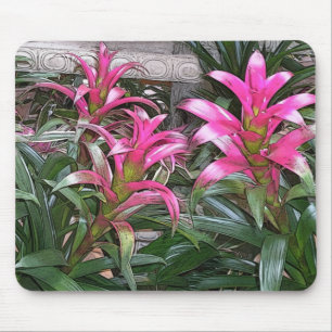 Mousepad Bromeliad Mouspad