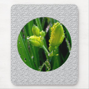 Mousepad broto de lírio verde de primavera