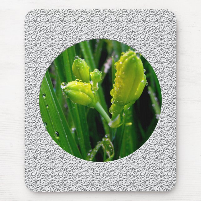Mousepad broto de lírio verde de primavera (Frente)