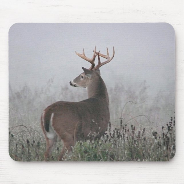 Mousepad Bruiser (Frente)