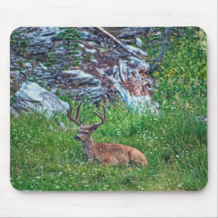 Mousepad Buck De Cama