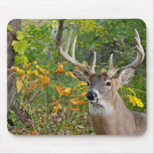 Mousepad Buck Deer in Woods