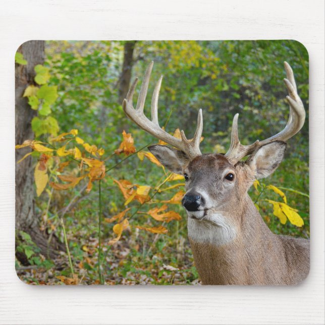 Mousepad Buck Deer in Woods (Frente)