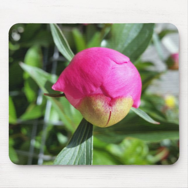 Mousepad bud rosa profundo (Frente)