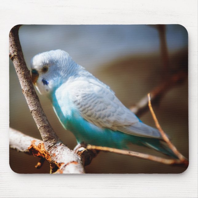 Mousepad Budgie (Frente)