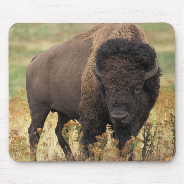 Mousepad Búfalo (Frente)