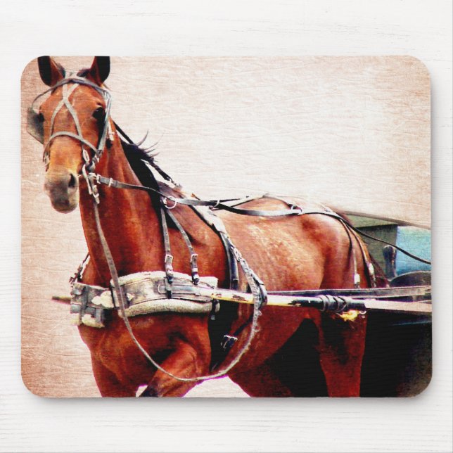 Mousepad Buggy Horse (Frente)