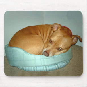 Mousepad Bugsy