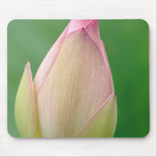 Mousepad Bulbo de Nenúfar Fechado, Jardim Botânico de Durba