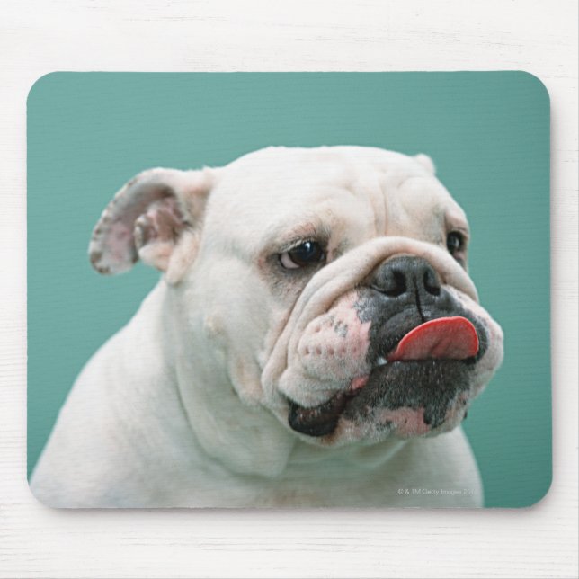 Mousepad Buldogue (Frente)