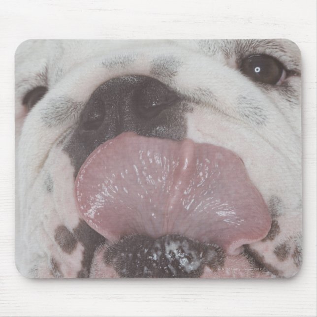 Mousepad Buldogue 2 (Frente)