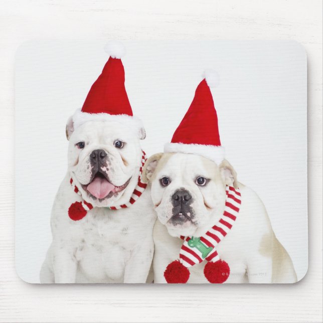 Mousepad Buldogue branco (Frente)