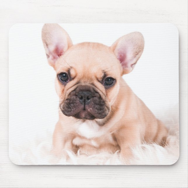 Mousepad Buldogue francês (Frente)