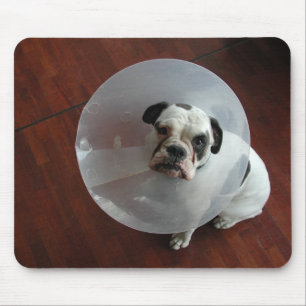 Mousepad Buldogue Francês