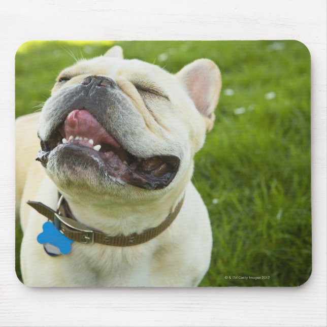 Mousepad Buldogue Francês (Frente)