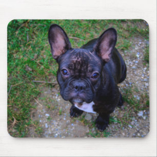 Mousepad Buldogue Francês