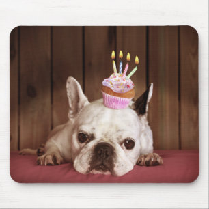 Mousepad Buldogue francês com cupcake do aniversário