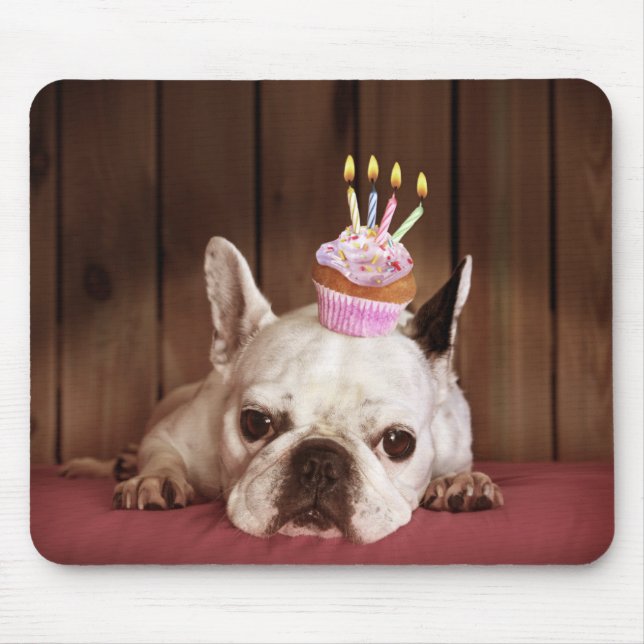 Mousepad Buldogue francês com cupcake do aniversário (Frente)