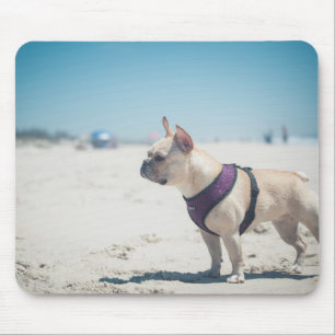 Mousepad Buldogue francês na praia