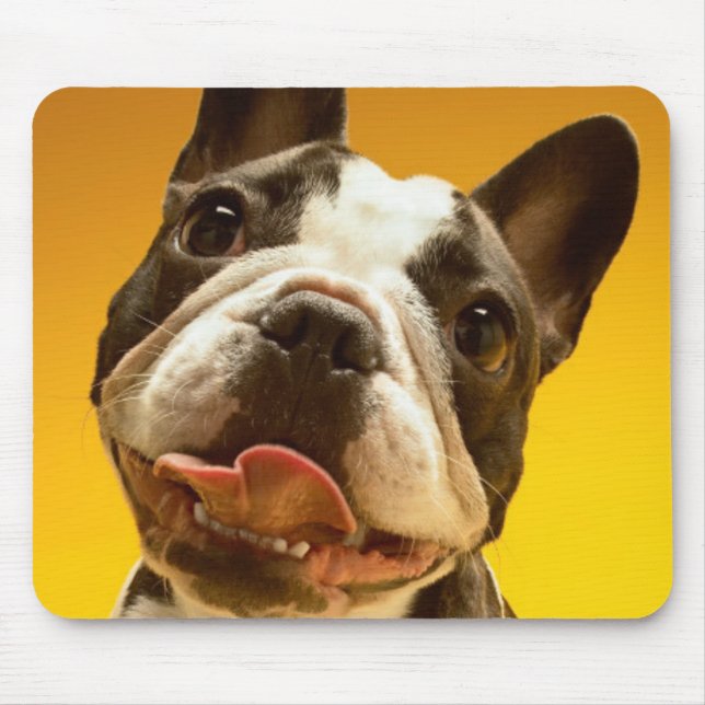 Mousepad Buldogue francês que olha acima (Frente)