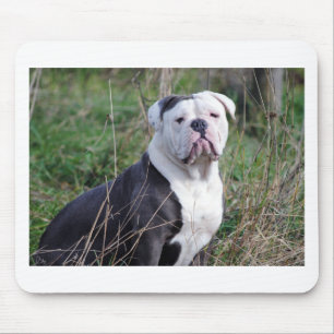 Mousepad Buldogue Inglês