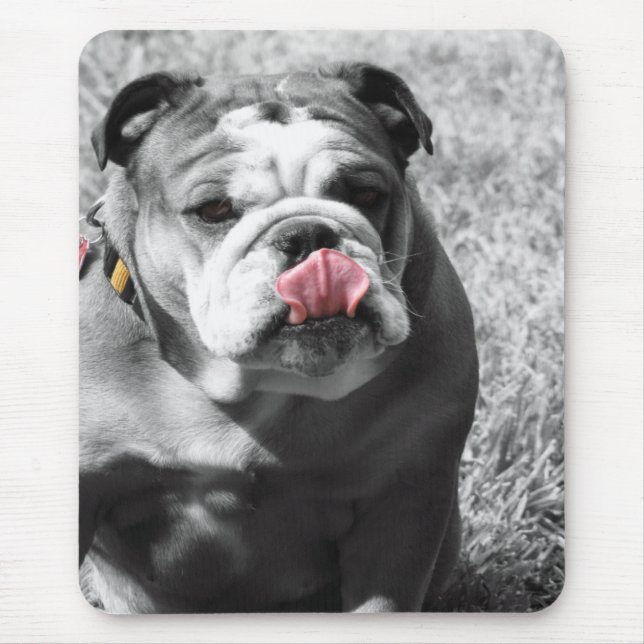 Mousepad buldogue inglês (Frente)