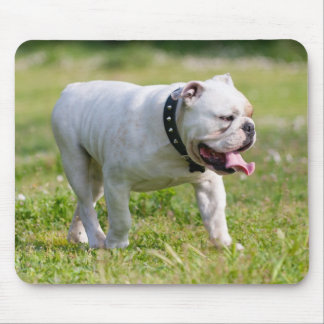 Mousepad Buldogue inglês