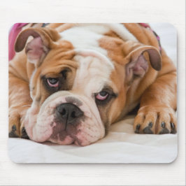 Mousepad Buldogue inglês