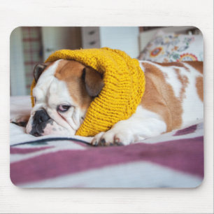 Mousepad Buldogue inglês das imagens   de Getty