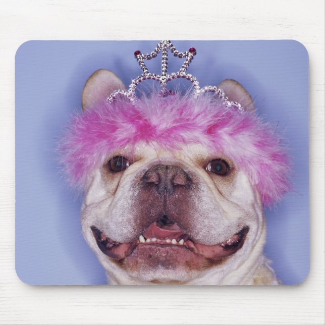 Mousepad Buldogue vestindo tiara (Frente)