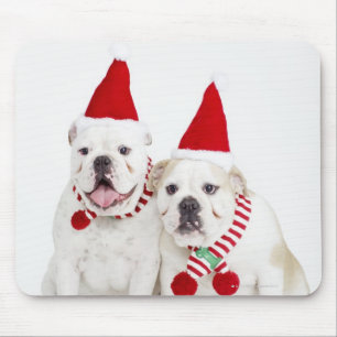 Mousepad Buldogues brancos