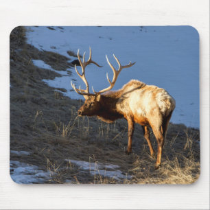 Mousepad Bull Elk