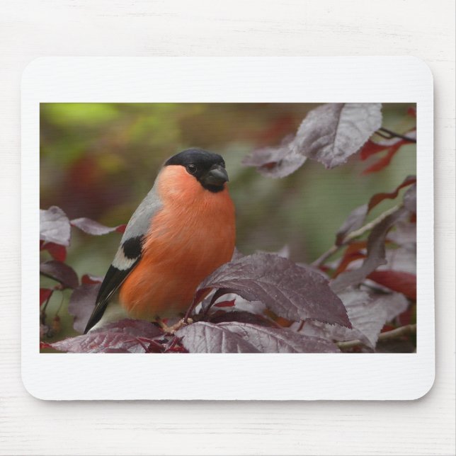 Mousepad Bull Finch (Frente)