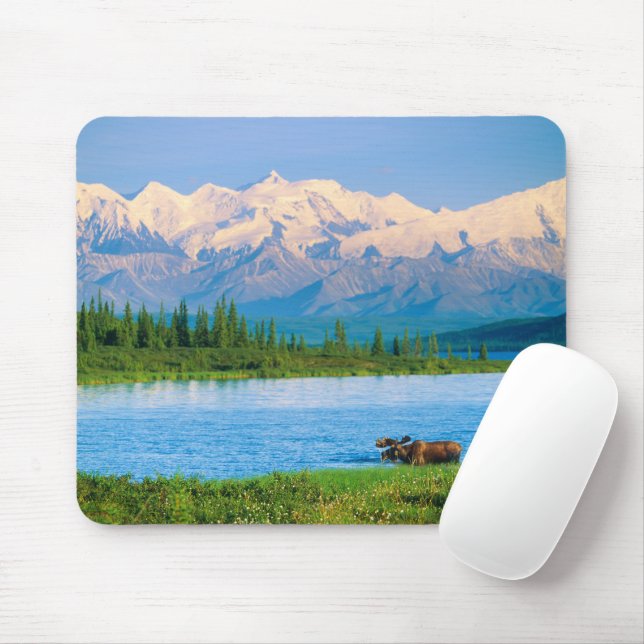 Mousepad Bull moose in Wonder Lake (Com mouse)