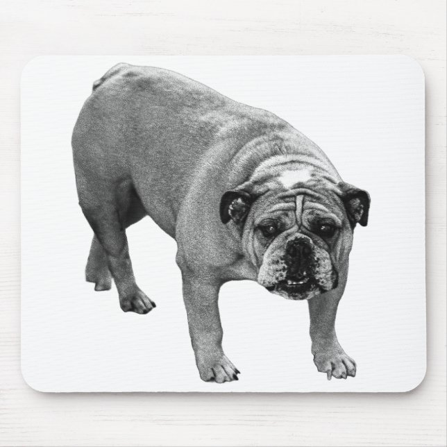 Mousepad Bulldog de Calm para Mesa (Frente)